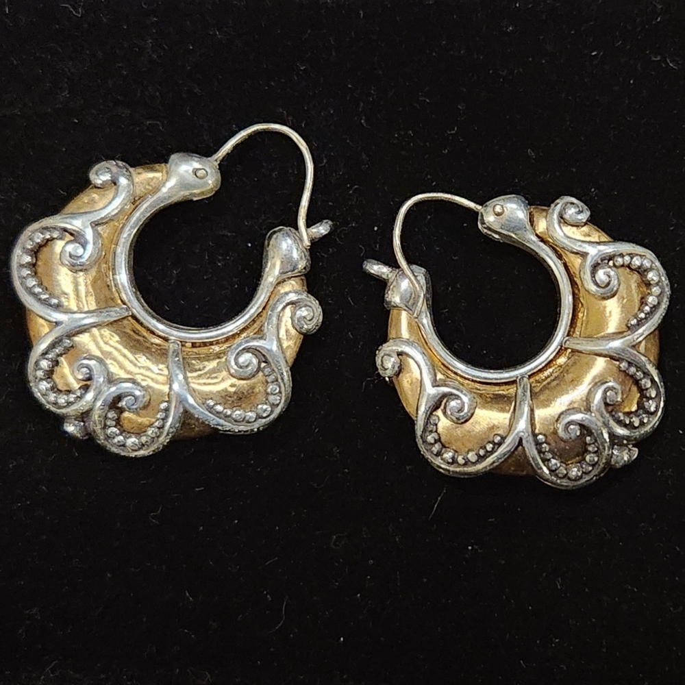 Elegant Gold and Silver Hoop Earrings
